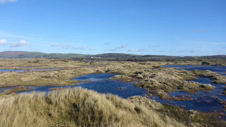 Boggy moor-like landscape beneath blue skies at Sandscale Haws National Nature Reserve, Cumbria